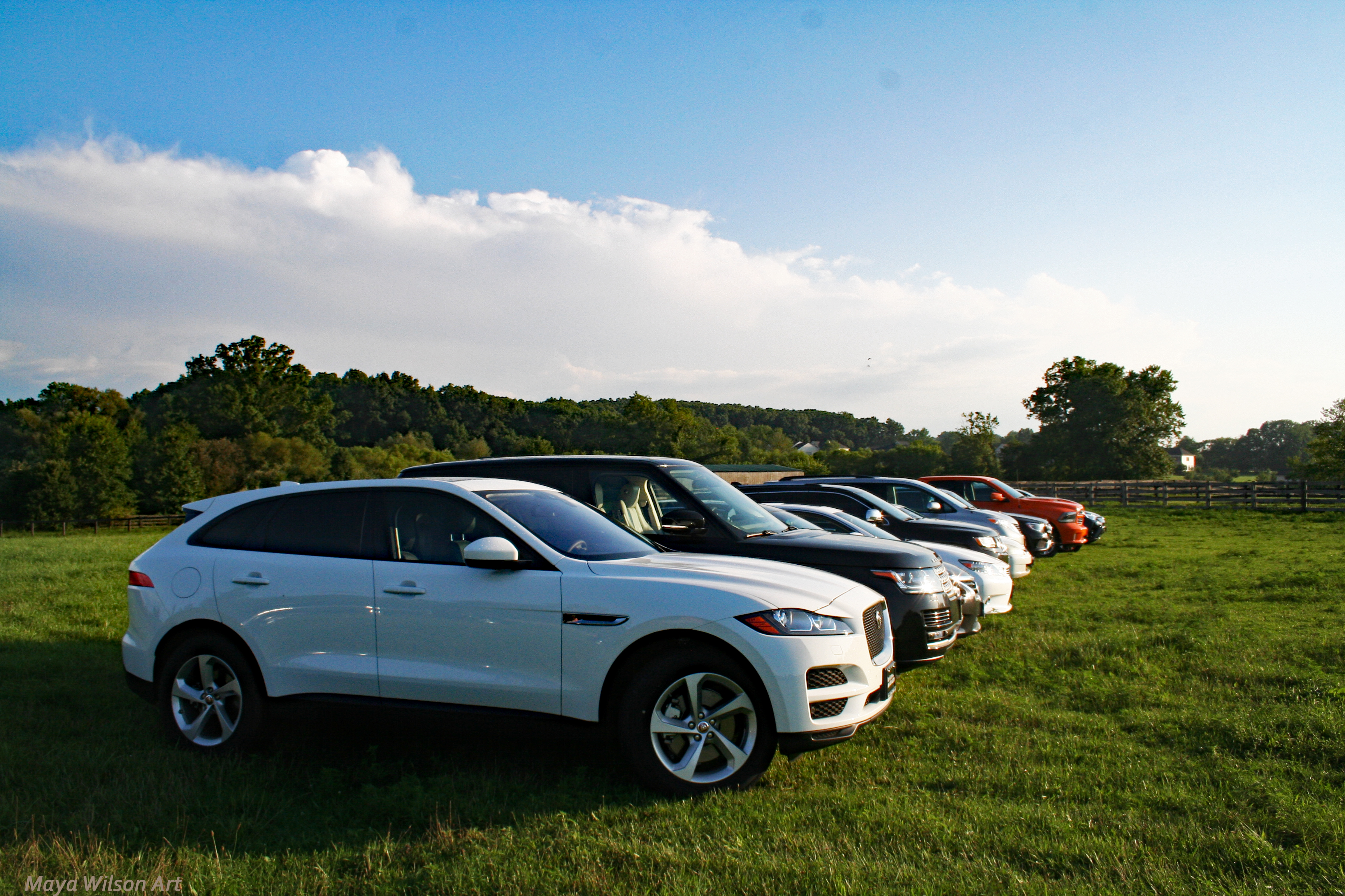 Service Department Valet